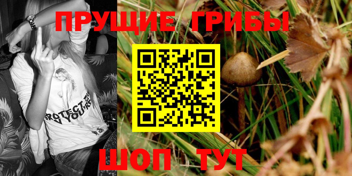 Балтийск  Псилоцибиновые грибы MAGIC MUSHROOMS  Вход с VPN 