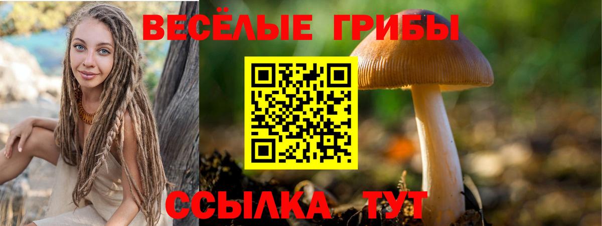 Галлюциногенные грибы Cubensis Балтийск
