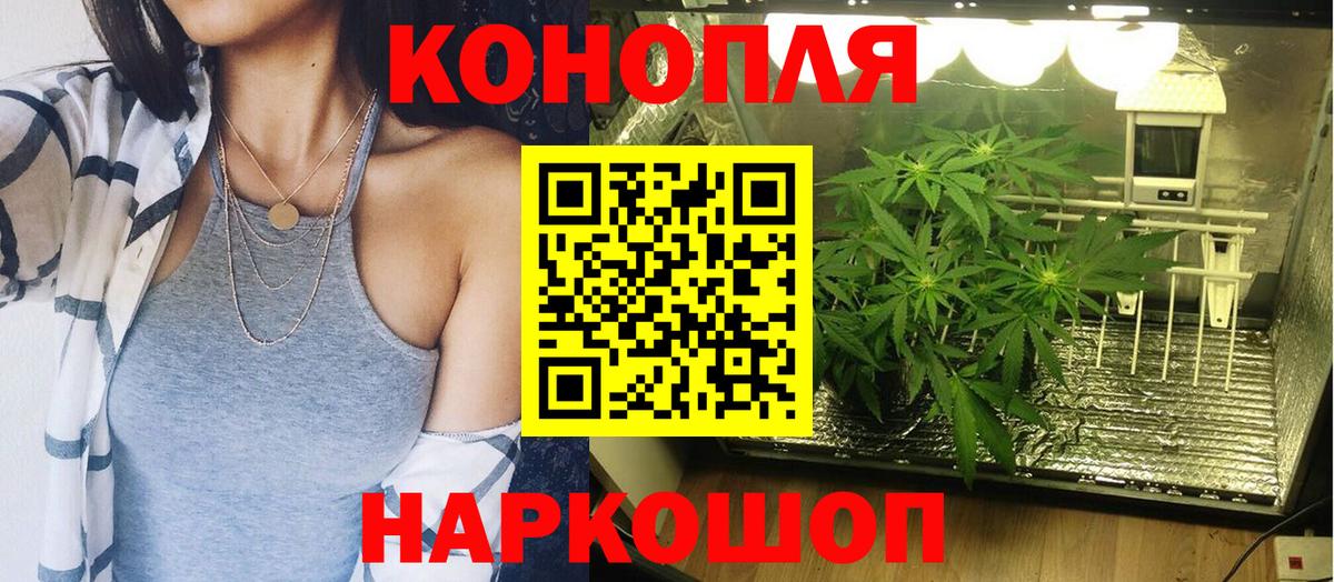 МАРИХУАНА сатива  Каннабис конопля  Балтийск  Вход с VPN  Бошки Шишки семена 